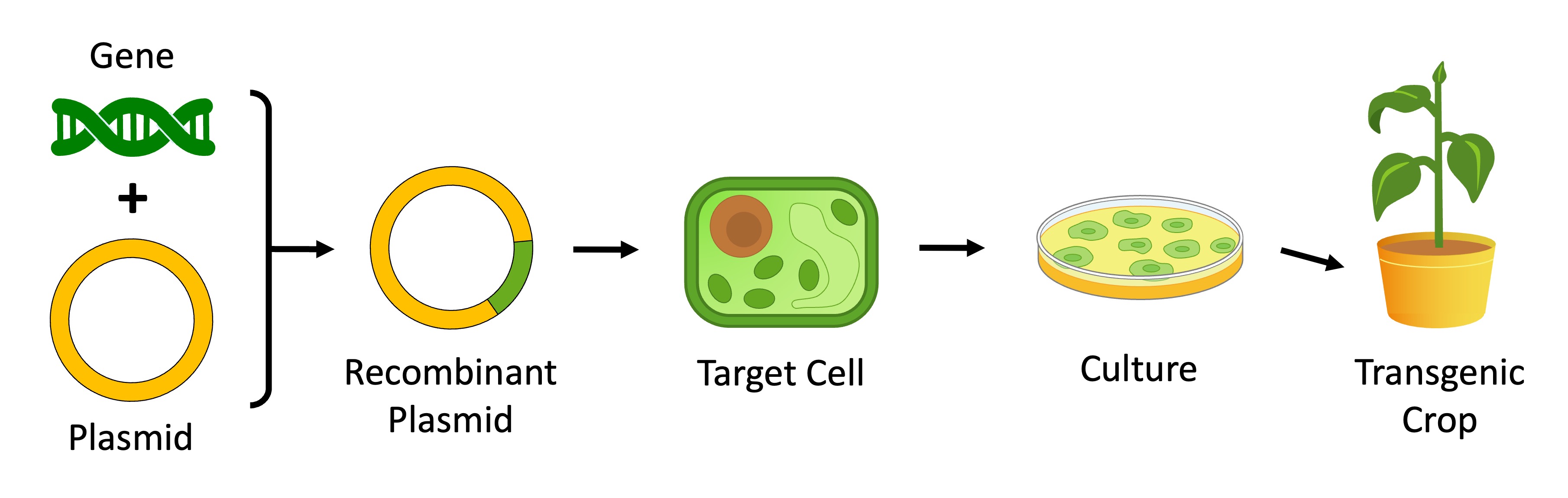 DNA Applications